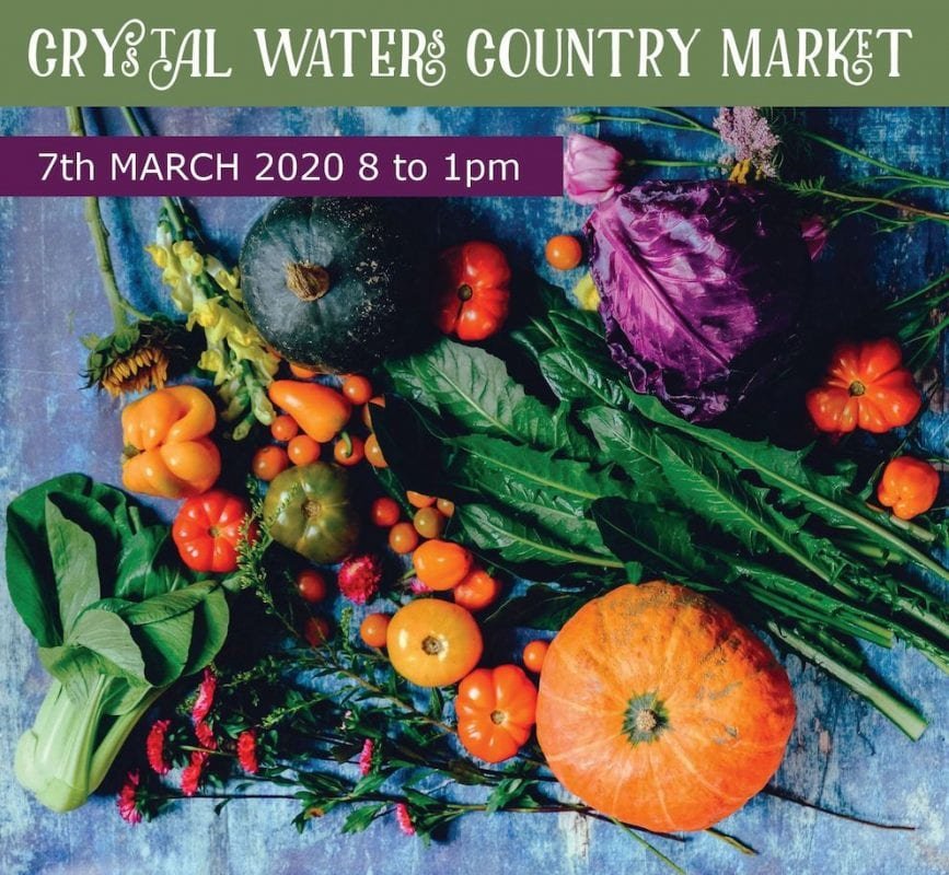 village markets veggies