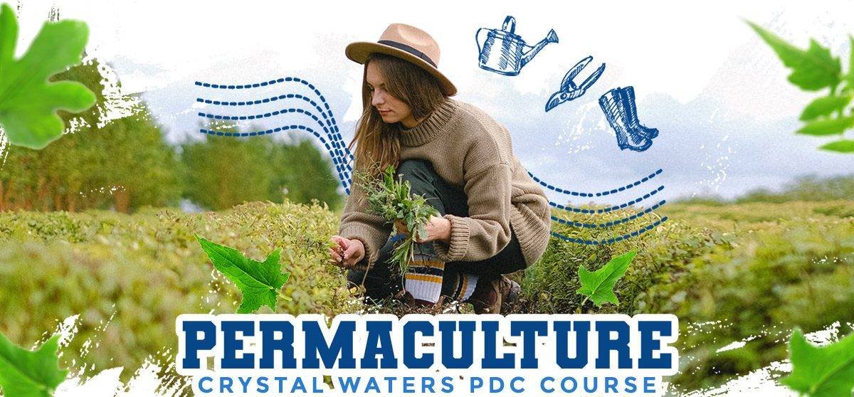 Permaculture Course PDC Queensland