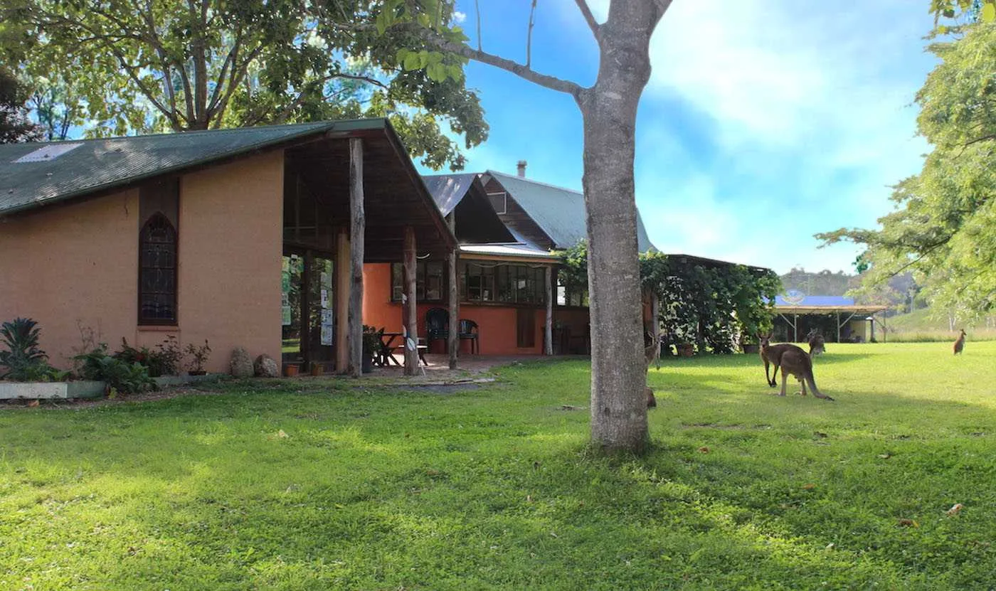 Crystal Waters Ecovillage community buildings and kangaroos