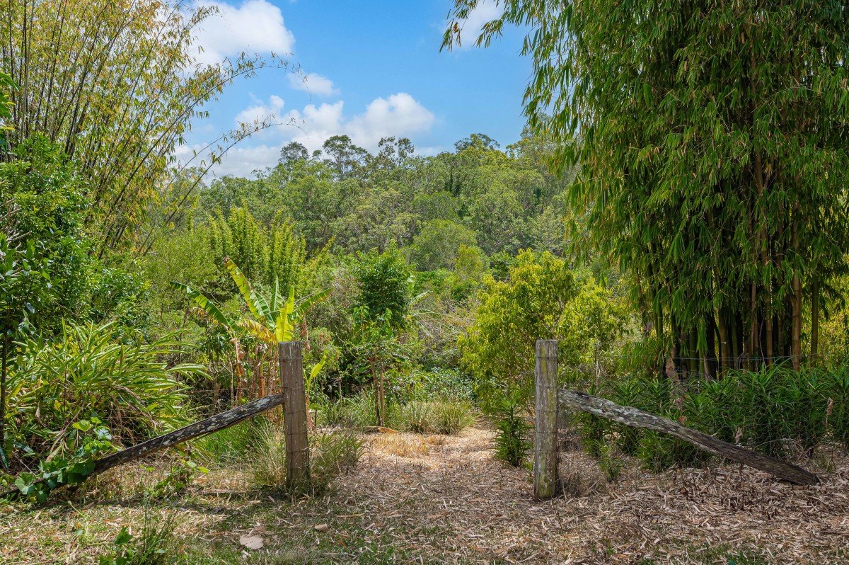 Garden path through established planting at 35/65 Kilcoy Lane, Conondale